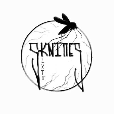 sknipes_logo.jpg